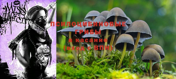 мдма Приозерск