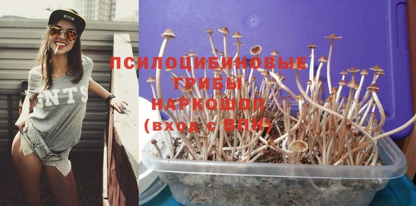 прущие крисы Пролетарск