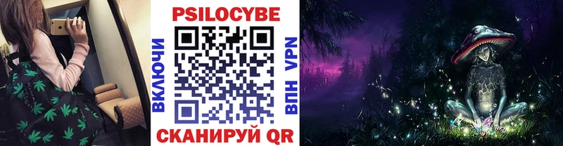 Купить закладки  Ачхой-Мартан  Псилоцибиновые грибы ЛСД 