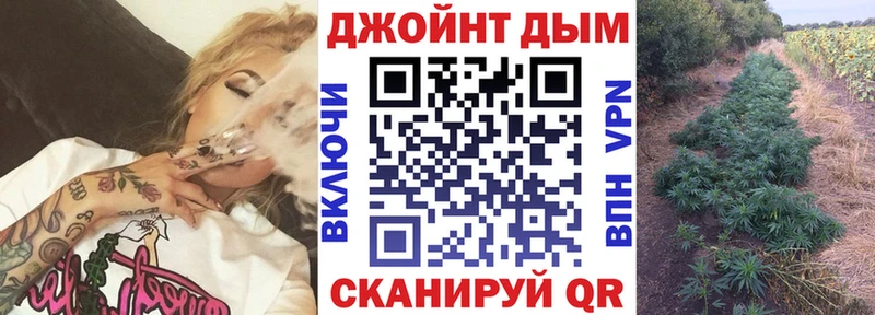 Бошки марихуана план  Купить  Ачхой-Мартан 
